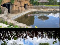 -沈阳森林动物园