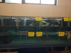 水产区-大方圆酒楼(西门大街店)