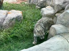 -青藏高原野生动物园