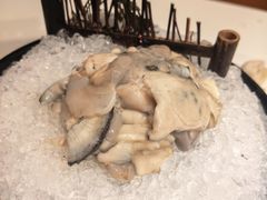 -海月轩海鲜豆捞(紫金塔店)