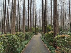 -上海怡沁园度假酒店