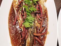 -单家老院·院子里的青岛菜(沙子口店)