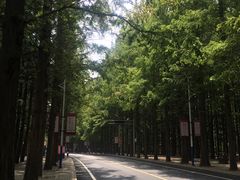 -大连理工大学(凌水校区)