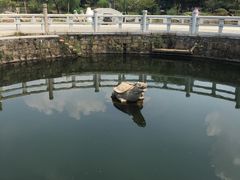 -白马涧龙池景区