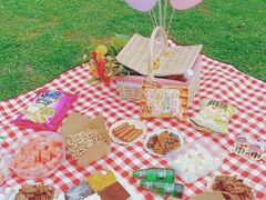 -上海共青森林公园