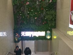-流浪地图剁椒卤汁拌饭(未来城购物广场店)