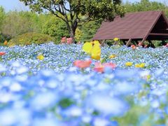 -上海辰山植物园