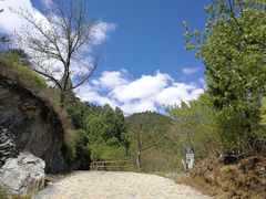 -荣德灶台鱼(圣泉寺店)