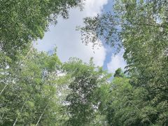 -陶祖圣境风景区