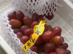 -马陆小张葡萄园农家乐