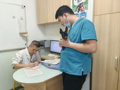 -宠福鑫康馨动物医院·骨科·眼科