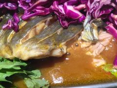 -鱼酷活鱼烤鱼(恒隆广场店)