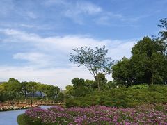 -春花秋色城市公园