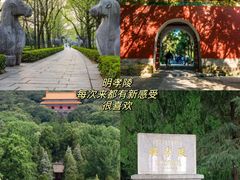 -刘长兴(卫岗店)