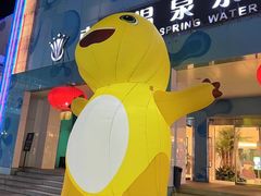 -南宫温泉水世界