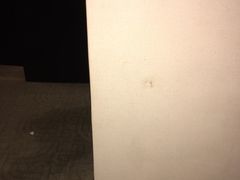 -澳门富豪酒店