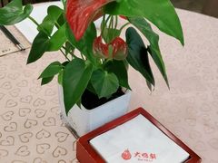 -大鸭梨(天通西苑店)