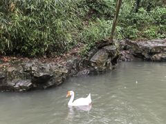 -兰亭风景区