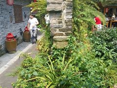 -青城甲(青城山店)