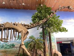 -延庆地质公园博物馆