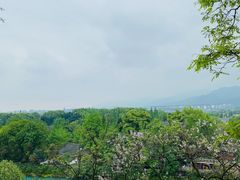 -都江堰景区