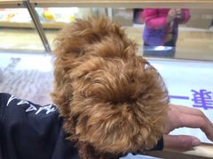 -乐宠宠物店(世纪金源店)