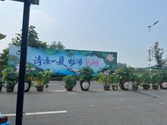 -荷花荡