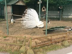 -胜华驾校·小猫学车(银都店)