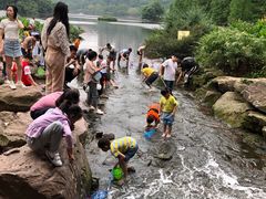 -重庆彩云湖湿地公园