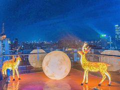 -梧桐餐厅(泉城路店)