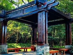 -上海吴淞炮台湾国家湿地公园