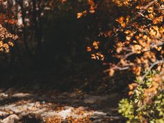 -本溪老边沟风景区