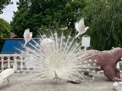 -J Create城市露营咖啡·简餐·宠物(上海动物园店)