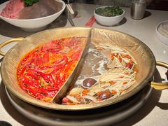 -小龙坎火锅(全球旗舰店)