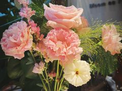 -Tomacado花厨(One ITC店)