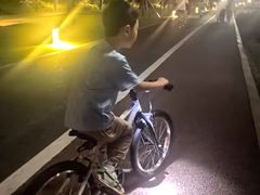 -野狸岛