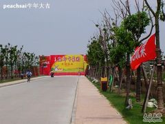 -上海都市菜园