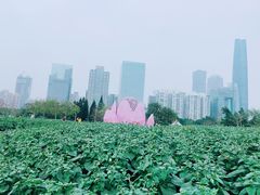 -二沙岛艺术公园
