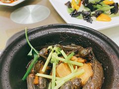 跳跳鱼煲-茂盛饭店(汕尾大道中店)