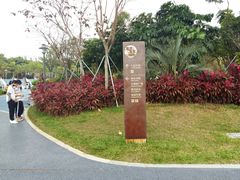 -宝安西湾红树林湿地公园