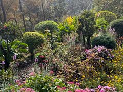 -深圳仙湖植物园