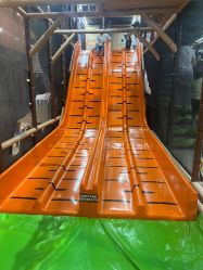 -卡通尼·Safari非洲探索乐园·生日会(金桥国际商业广场店)