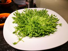 活体豆苗-煲宫猪肚鸡(昆山金鹰国际购物中心店)