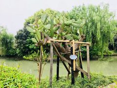 -韩湘水博园