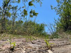 -辛安庄鸡鸣山景区