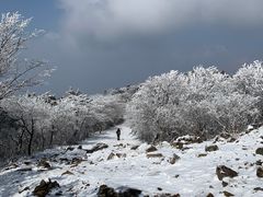 -湖州龙王山景区