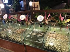 -渔家火锅·海鲜自助餐·演艺(亚龙湾天域酒店)