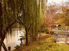 -苏州河梦清园环保主题公园