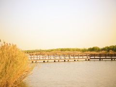 -西青郊野公园