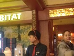 -栖巢咖啡馆(双岗店)